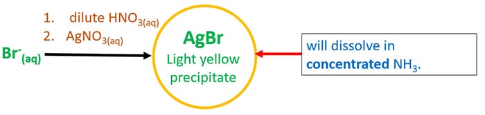AgBr precipitate dissolve in concentrated ammonia