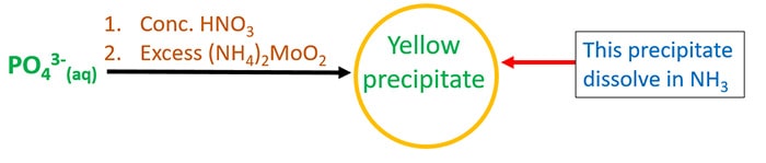 ammonium molybdate experiment to test to identify phosphate ion