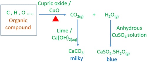 Identify carbon and hydrogen in organic compounds