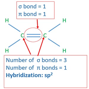Hybridization of alkenes