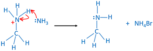 Ammonia attacks ammonium salt to give primary amine