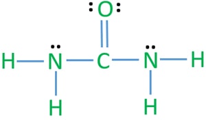 Urea Nh2conh2 Lewis Structure Steps Of Drawing
