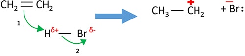 alkene bromination mechanism