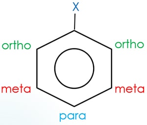 ortho para meta positions of benzene