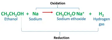 CH3CH2OH + Na = CH3CH2O-Na+ + H2 | Ethanol and Sodium Reaction